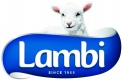 Lambi