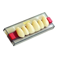 Зубы акриловые Анис планка 6 зубов Зубы искусственные купить в Продез Сочи