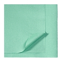 Бумага крепированная для паровой и газовой стерилизации DGM 750х750 мм зеленая 500 шт Бумага стерилизационная крепированная купить в Продез Сочи