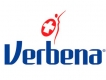 Verbena