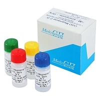 БМ-Контроль-ПГК для определения белка в моче 4х2 мл Тесты для экспресс-диагностики мочи и крови купить в Продез Сочи