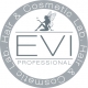 EVI professional