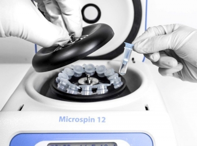 Центрифуга Microspin 12 BioSan Центрифуги и вортексы для лаборатории купить в Продез Сочи