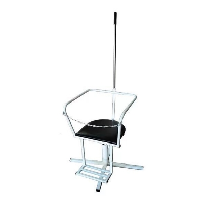 Кресло Барани - для тренировки вестибулярного аппарата Кресла для медицинского кабинета купить в Продез Сочи