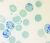 Диахим-ГемиСтейн-РТЦ - набор для окраски ретикулоцитов Абрис 1000 определений 50 мл Комплекты для окраски купить в Продез Сочи